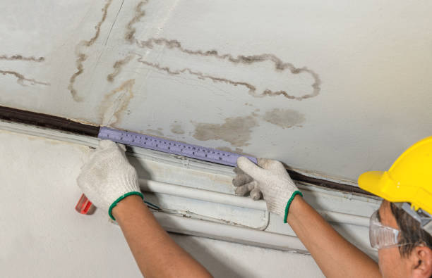 Reliable Mold Remediation contractor in Campaign, TN by Water Damage Irwin